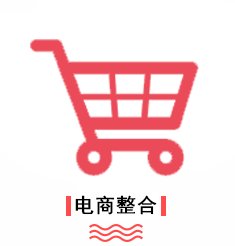 优势-电商整合